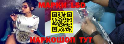 крисы Моздок