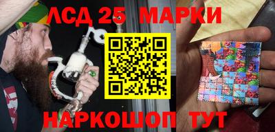 крисы Моздок