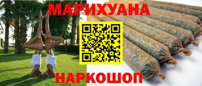 крисы Моздок