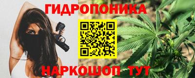 винт Можга