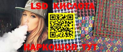 крисы Моздок