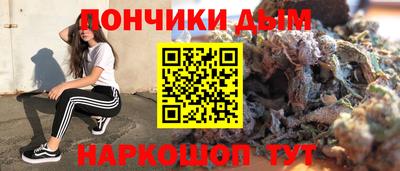 крисы Моздок