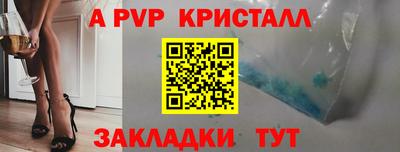 крисы Моздок
