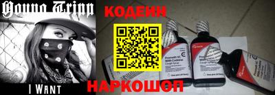 крисы Моздок