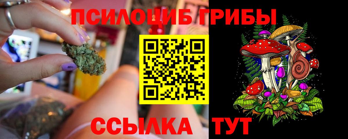 Псилоцибиновые грибы прущие грибы Сызрань