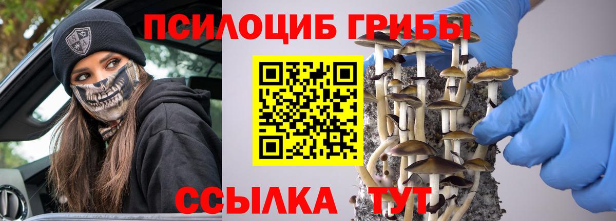 Псилоцибиновые грибы мухоморы  Вход с VPN  Сызрань 